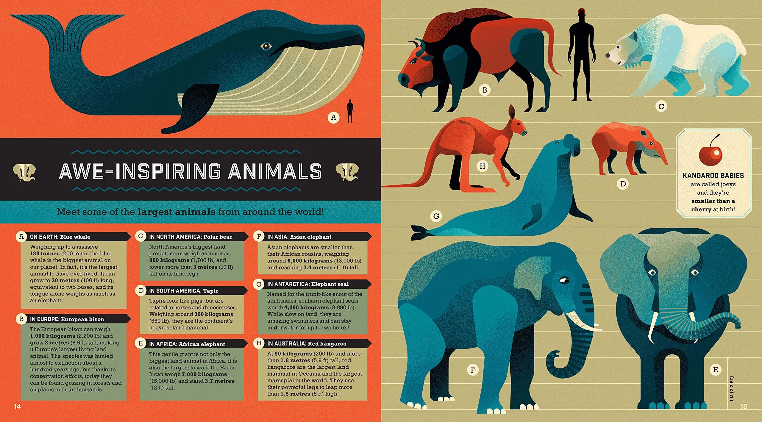 Infographic Guide to the Globe