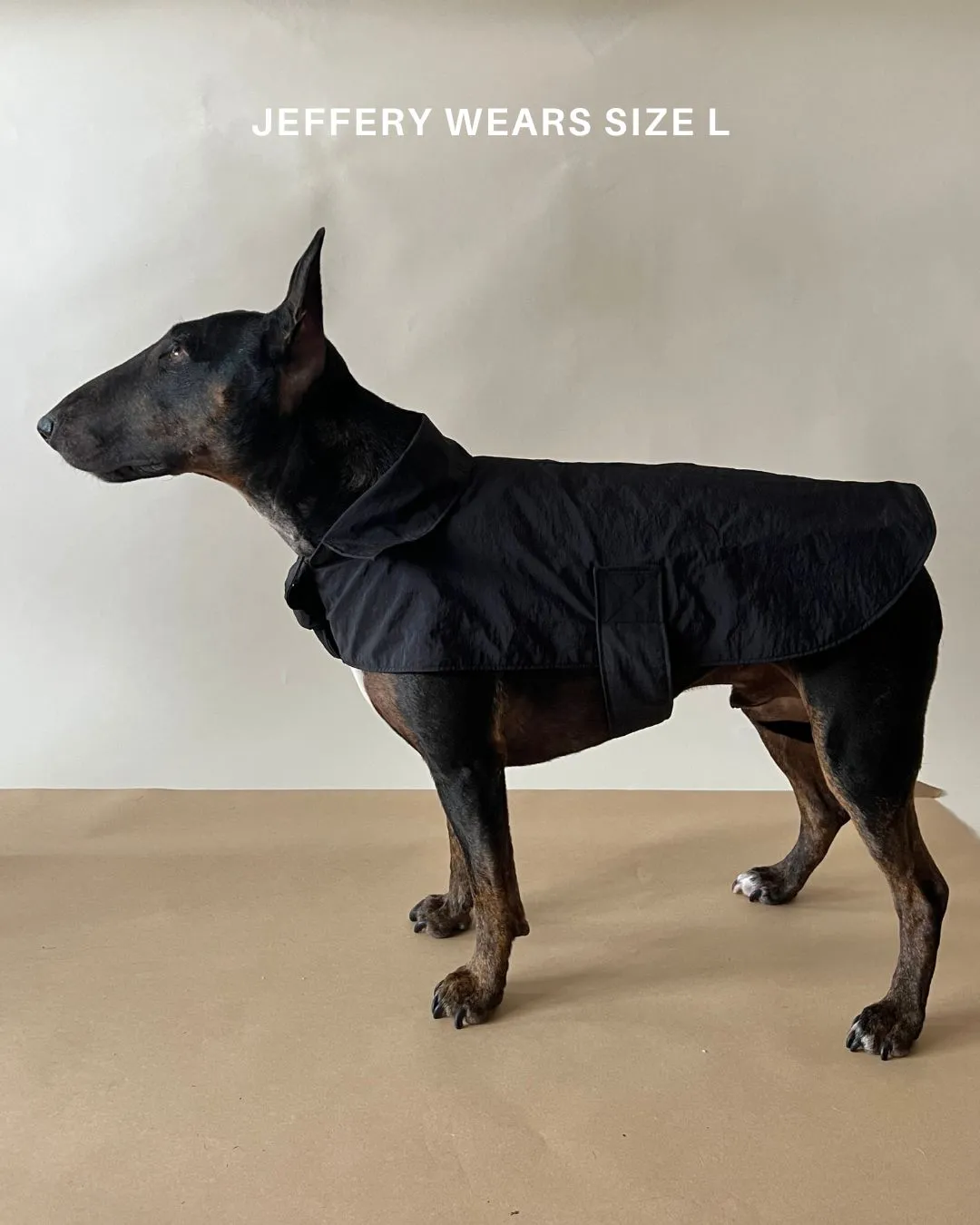 Toto Dog Jacket